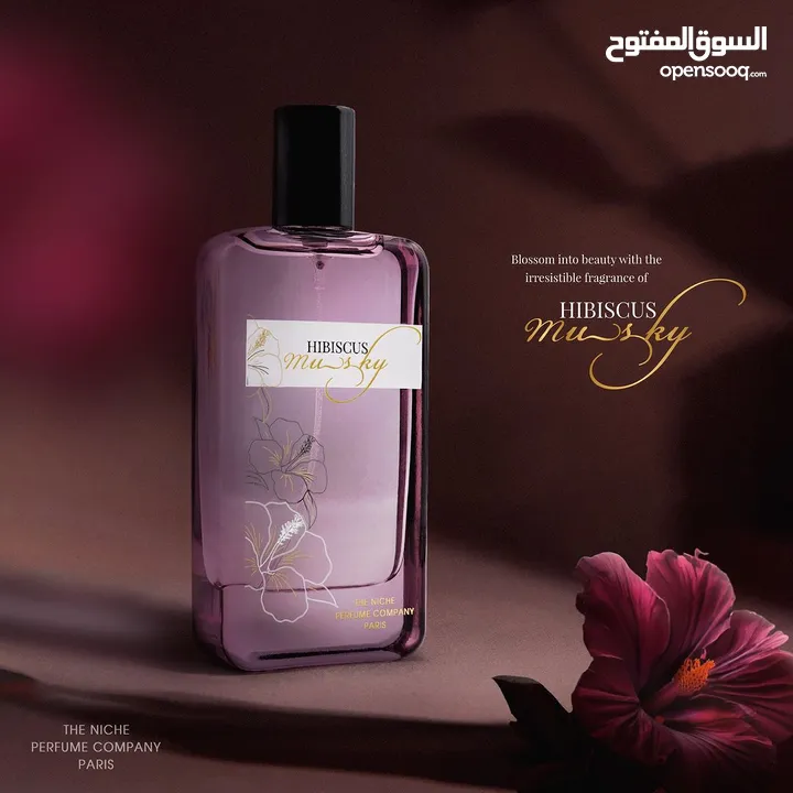 Best Perfume For Men Women in AjmanShop  Perfume For Sale Online Dubai, AjmanShop