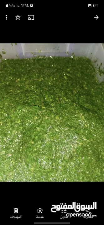ملوخيه وورق عنب وفول وفاصوليا وسبانخ وخضار فروزن