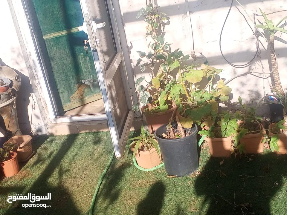 شقة للبيع في  المدينة الرياضية