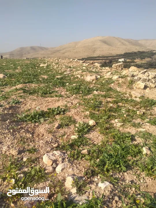 قطعة أرض للبيع مميزة بأطلالة مرتفعة وبسعر مغري