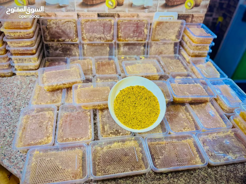 مطلوب طيور بدل على عسل
