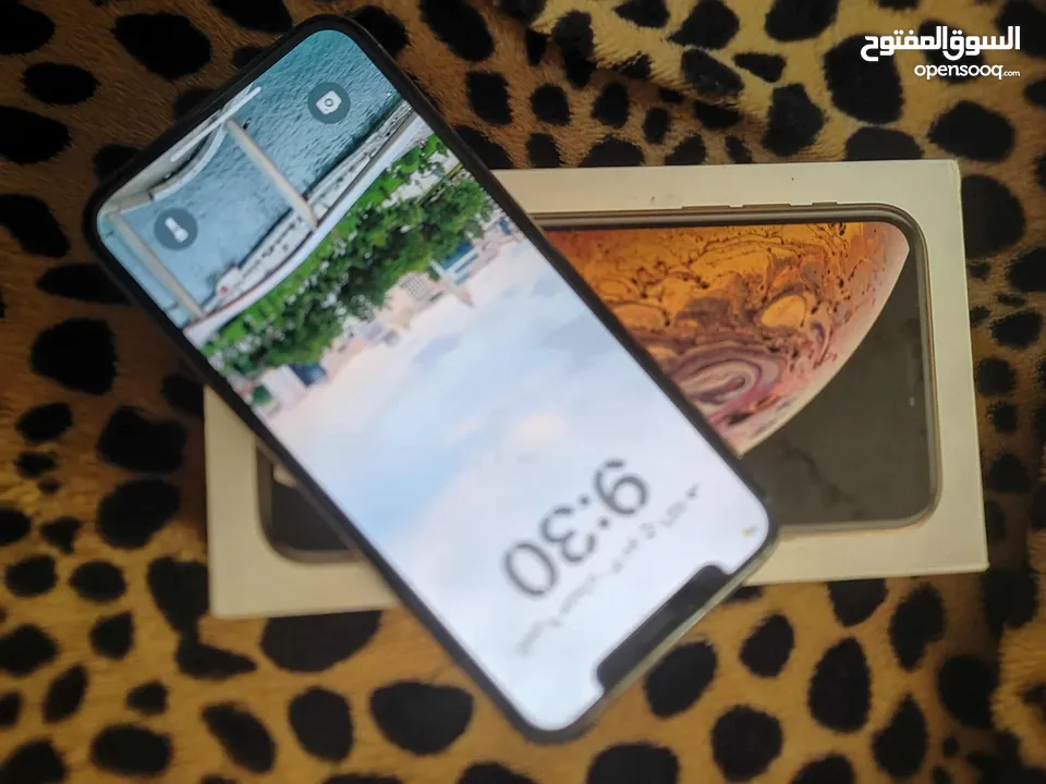 iPhone Xss