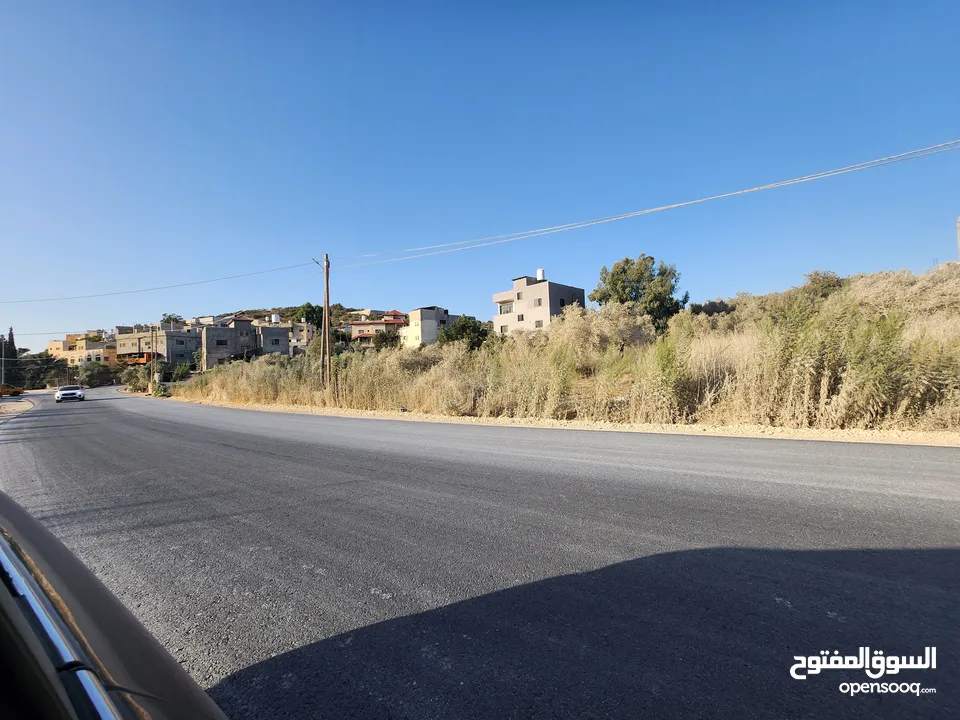 فرصة بالجاروشية