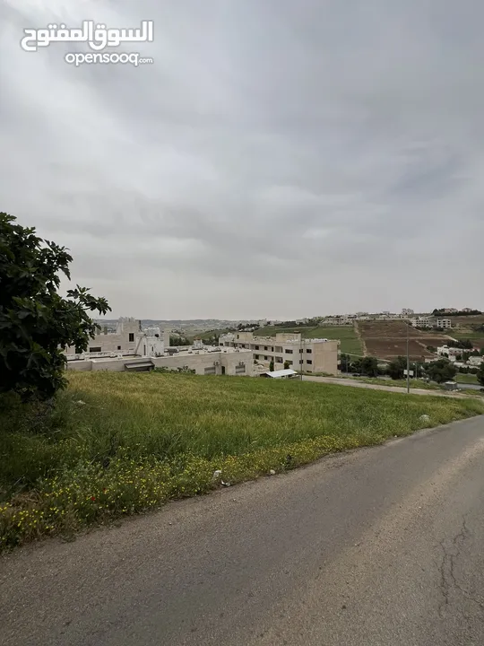 ارض بالسلط قرب الجامعة الأهلية مميزة للبيع من المالك مباشرة