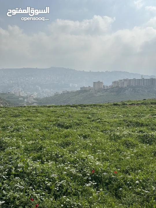 قطعة ارض مميزة للبيع