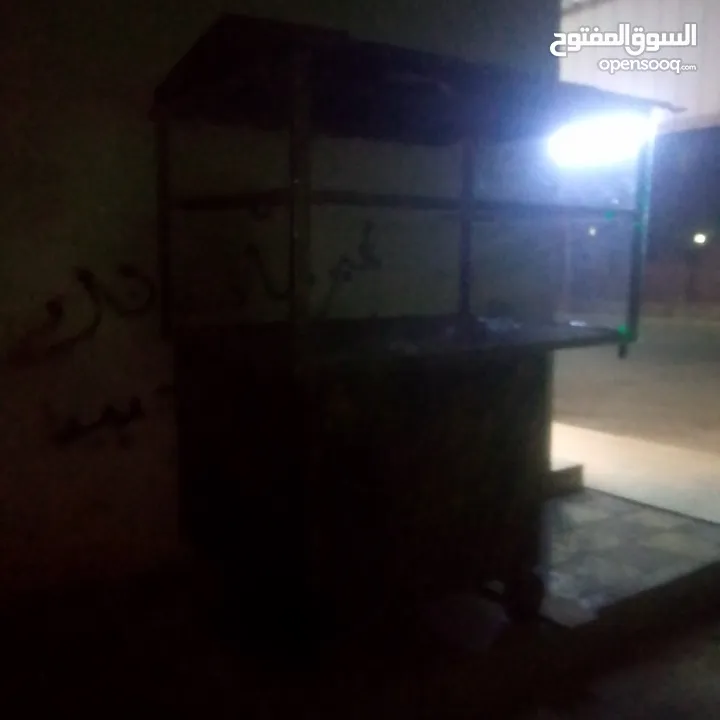 عربيه جديده للايجار  الله يرزق الجميع