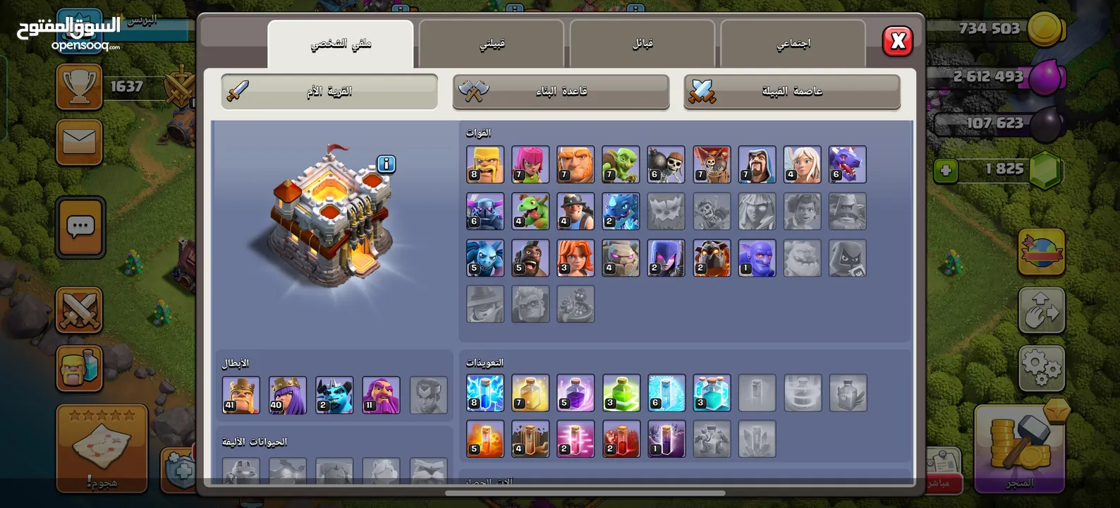 قريات متعوب عليهن مع الكلان للبيع