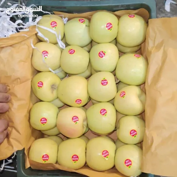 Sending first class fruit from Iran