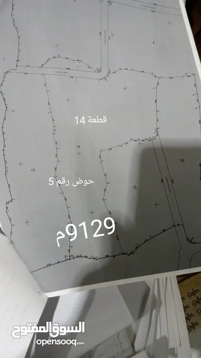 أرض مميزة للأستثمار