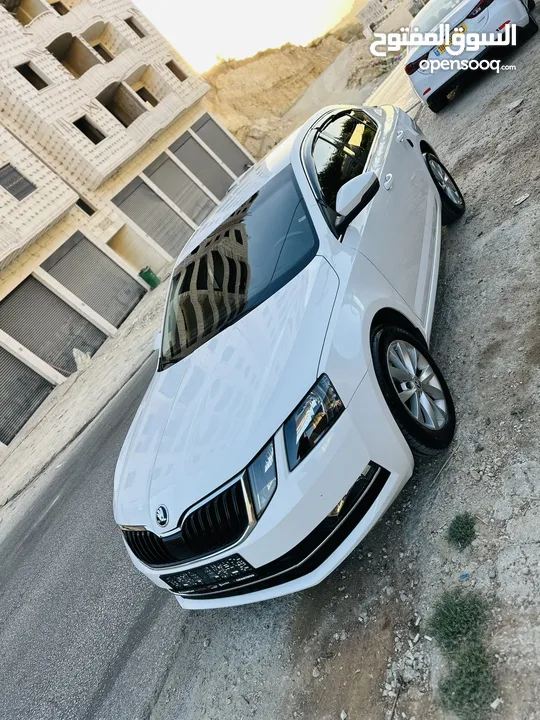 اكتافيا ترخيص 2019 دهان شركة كرتونة حمامة بيضاء