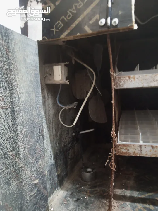 فقاسه بيض دجاج وفري