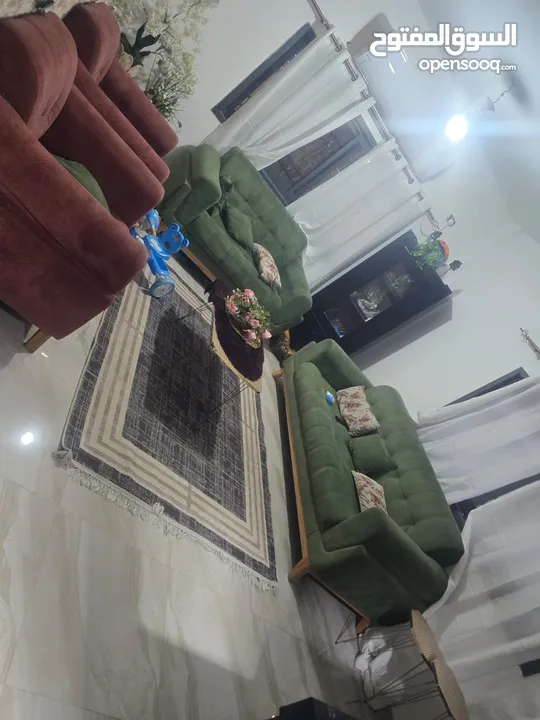 أحمد أبو مطاوع