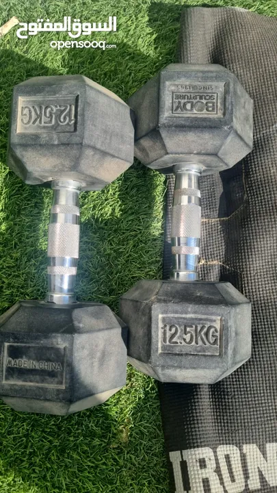 Weight lifts 12.5 KG pair for sale