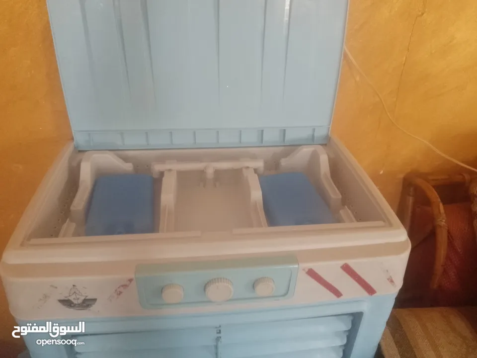 كندشن صحراوي حجم كبير