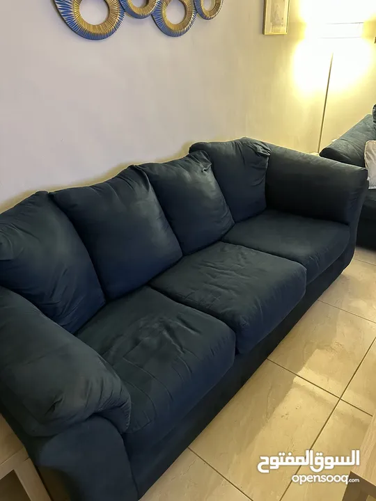 طقم أمريكي دب من محلات أشلي بحالة ممتازة