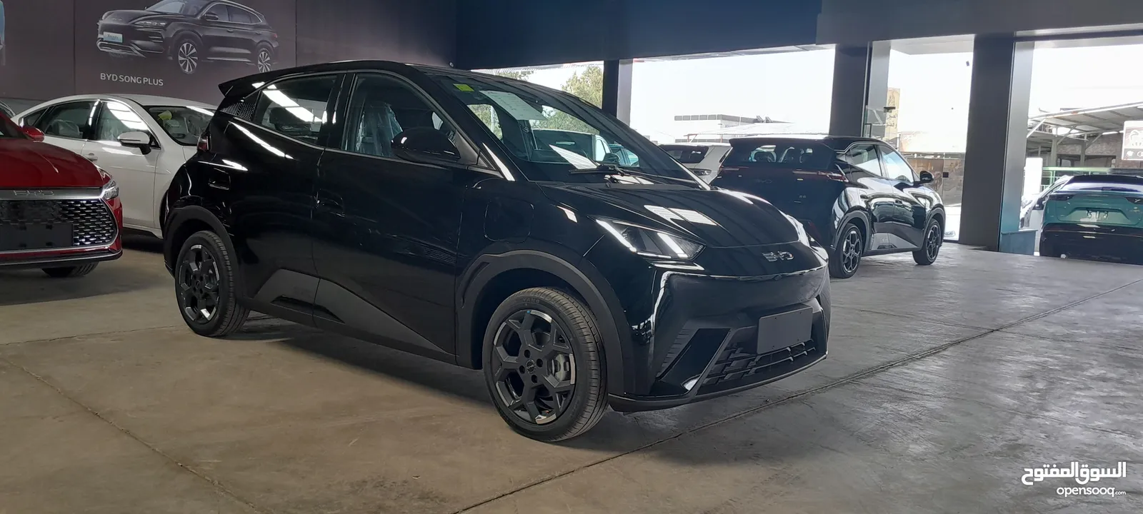بي واي دي سيجال 2024 عداد زيرو كفاله 6 سنوات  BYD Seagull 2024  zero