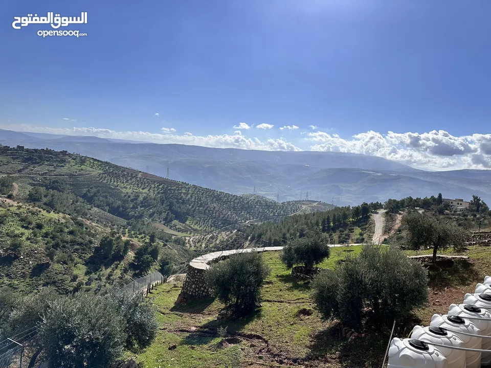 مزرعة مميزة في جرش مع بيت طابقين بسعر مميز للبيع