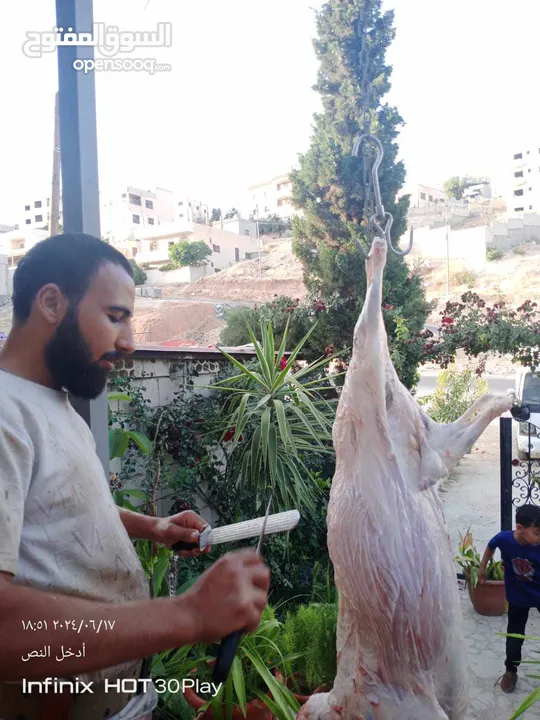 لحام متنقل ذبح أضاحي خاروف عجل بلدي جمل غنم بلدي روماني برزيلي كولمبي اسباني خروف بلدي جزار متنقل