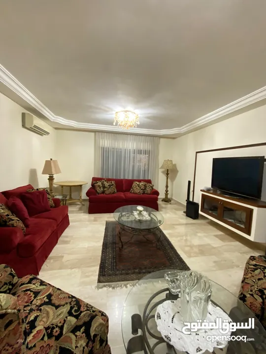شقة مفروشة فاخرة اعلان رقم (S41)