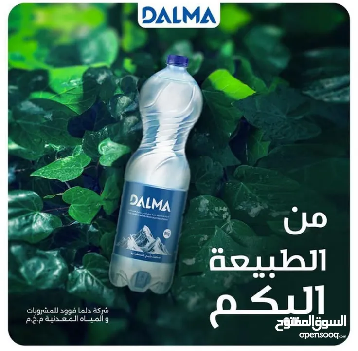 مياه دلما الصحيه