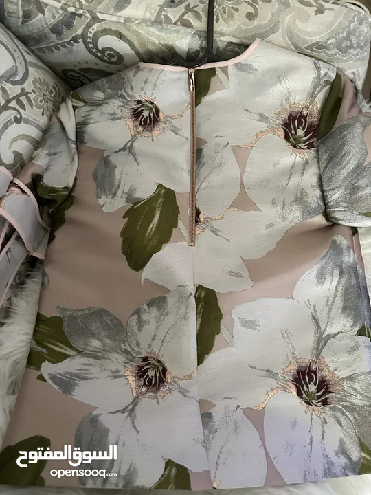 زي ted baker