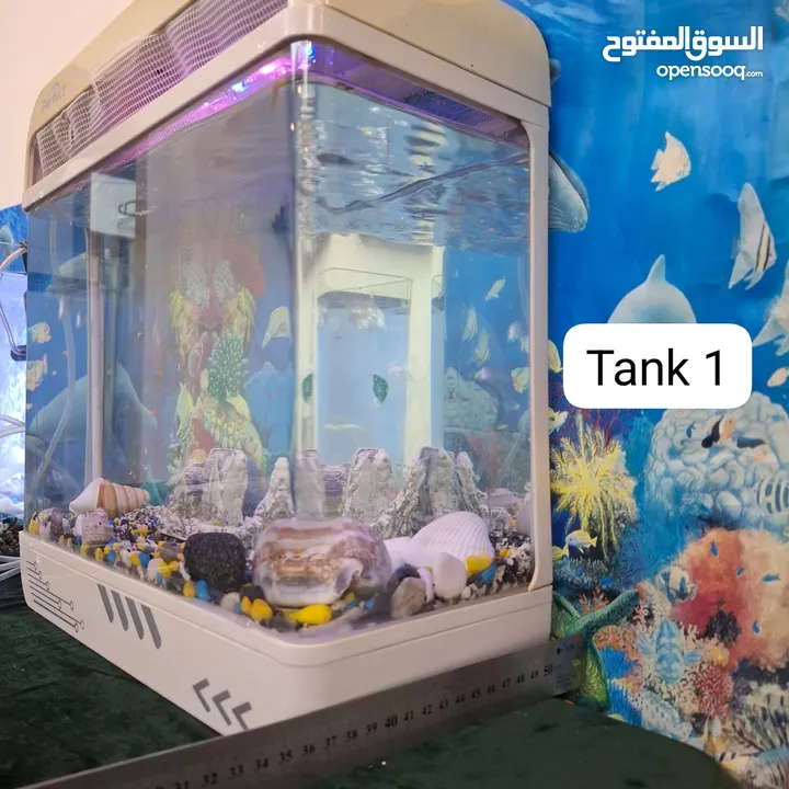 Two Fish tanks with accessories and food