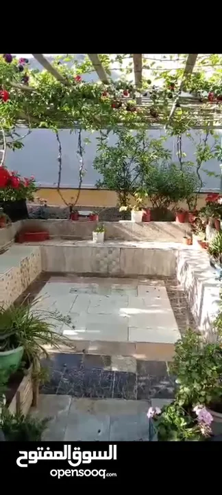 بيت ومنازل للبيع