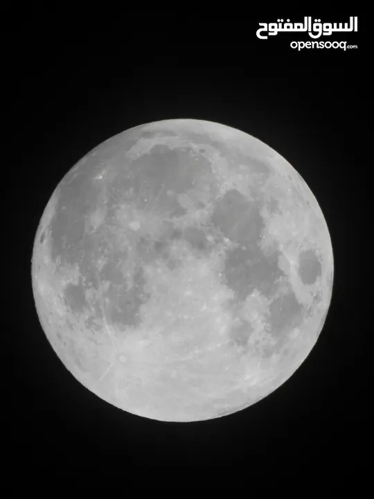 كاميرا زوم احترافي Nikon Coolpix p900 83x