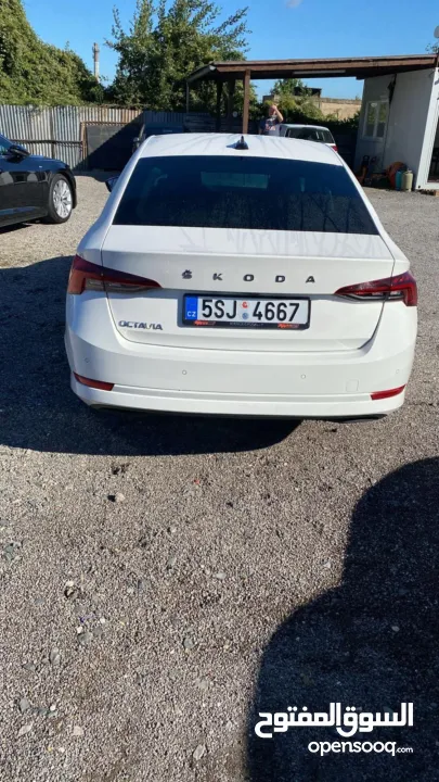 سكودا اكتافيا