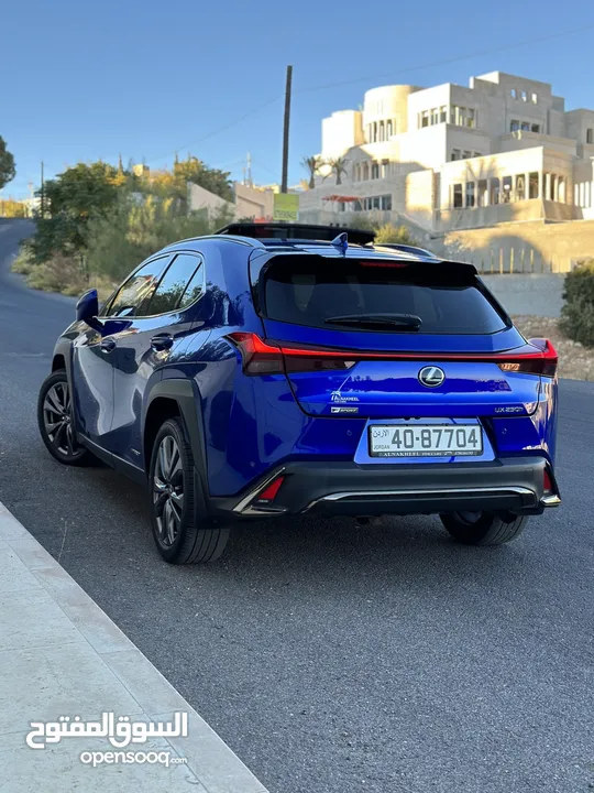 ‏2019 Lexus UX F Sport كلين تايتل