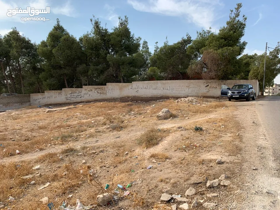 أرض منظمة سكني أ في أجمل مناطق تلعة الذهب خلف ايكيا – ديونز