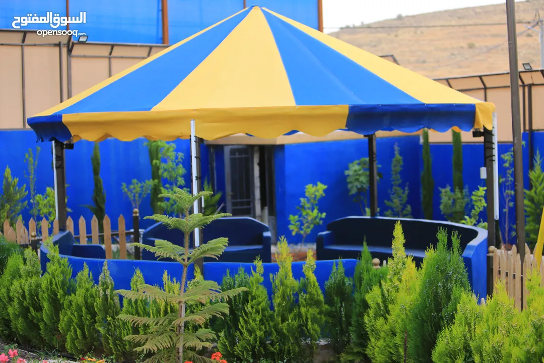 مزرعه العز طريق الزرقاء جرش