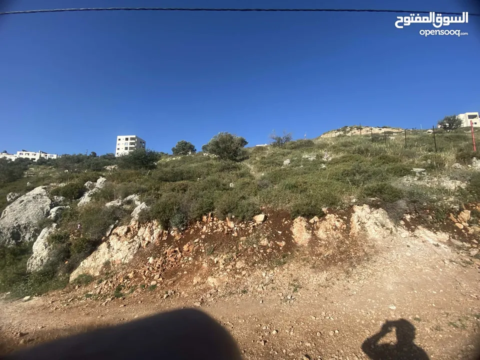 ارض للبيع في نابلس الجديدة