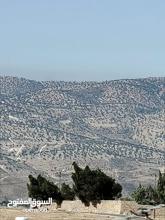 ارض للبيع جرش عنيبه قطعه مميزه جدا
