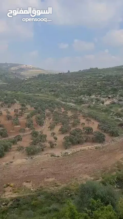 أرض للبيع من المالك مباشرة