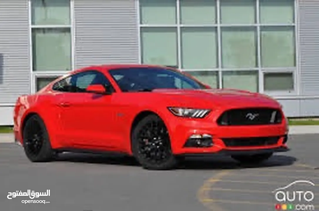 Wanted mustang GT