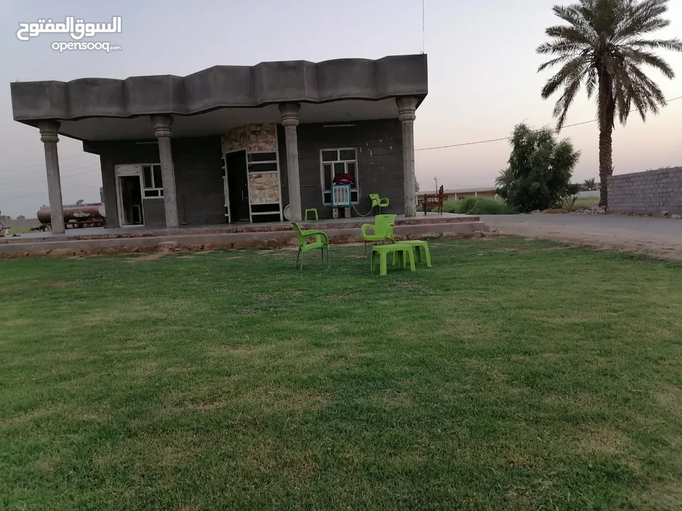 بغداد منطقة المراسمة خلف حي جهاد قرب المكاسب