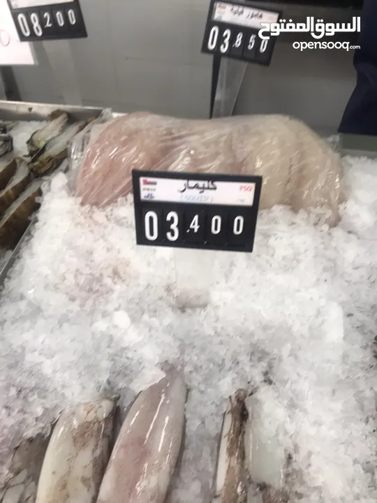 ‏للبيع سمك