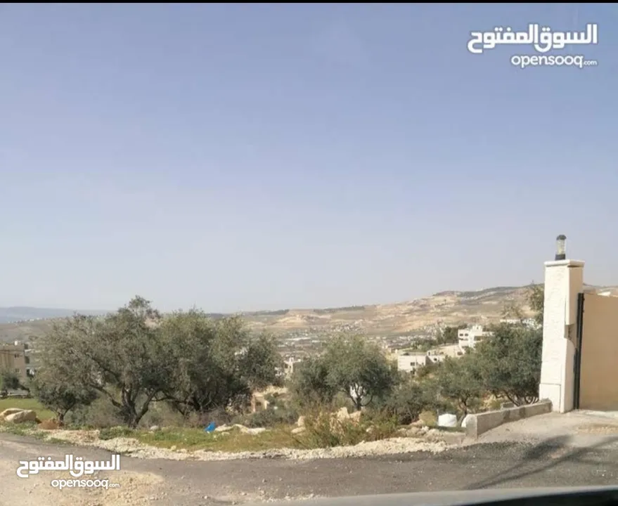 ارض سكنيه في ابو نصير، قراية 800 متر تقع على شارعين أمامي خلفي، منسوب خفيف، بعد مستشفى الرشيد