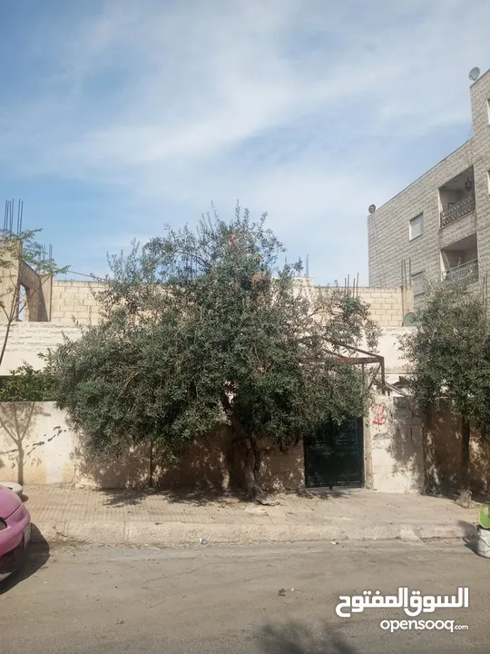 منزل للبيع