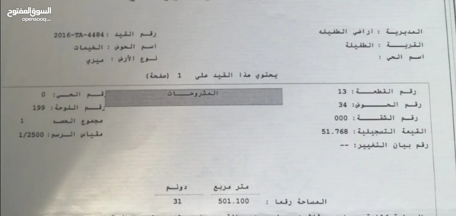 ارض للبيع في محافظة الطفيله