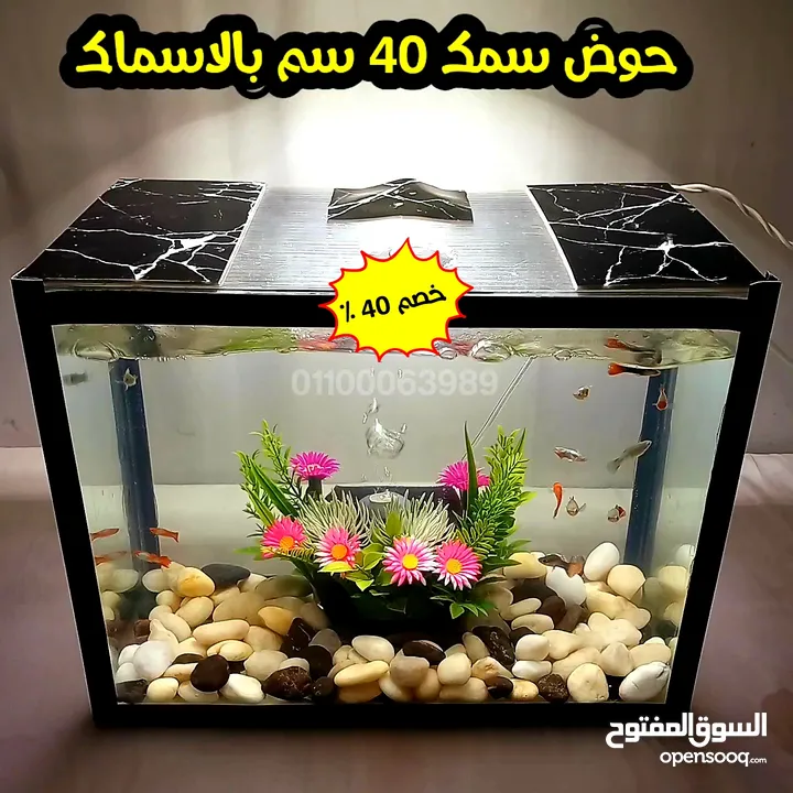 حوض سمك 40 سم يصلك كامل بالاسماك