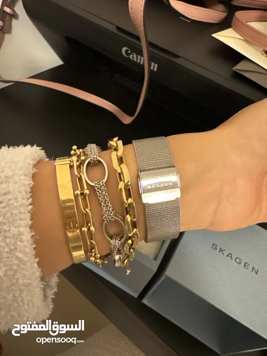 ساعة فخمة ذهبي و فضي ماركة سكاغن skagen