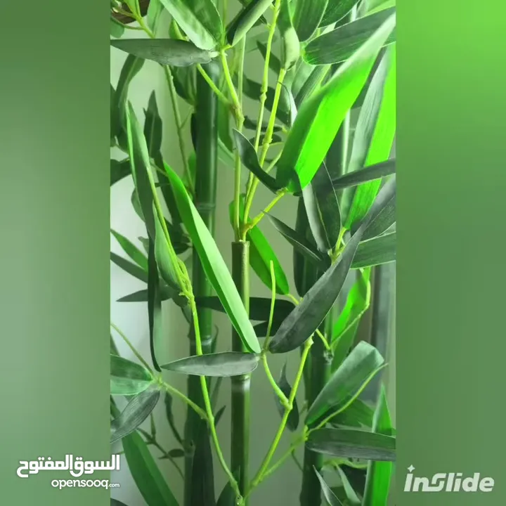 أشجار صناعي بجذع طبيعي شامل القوار