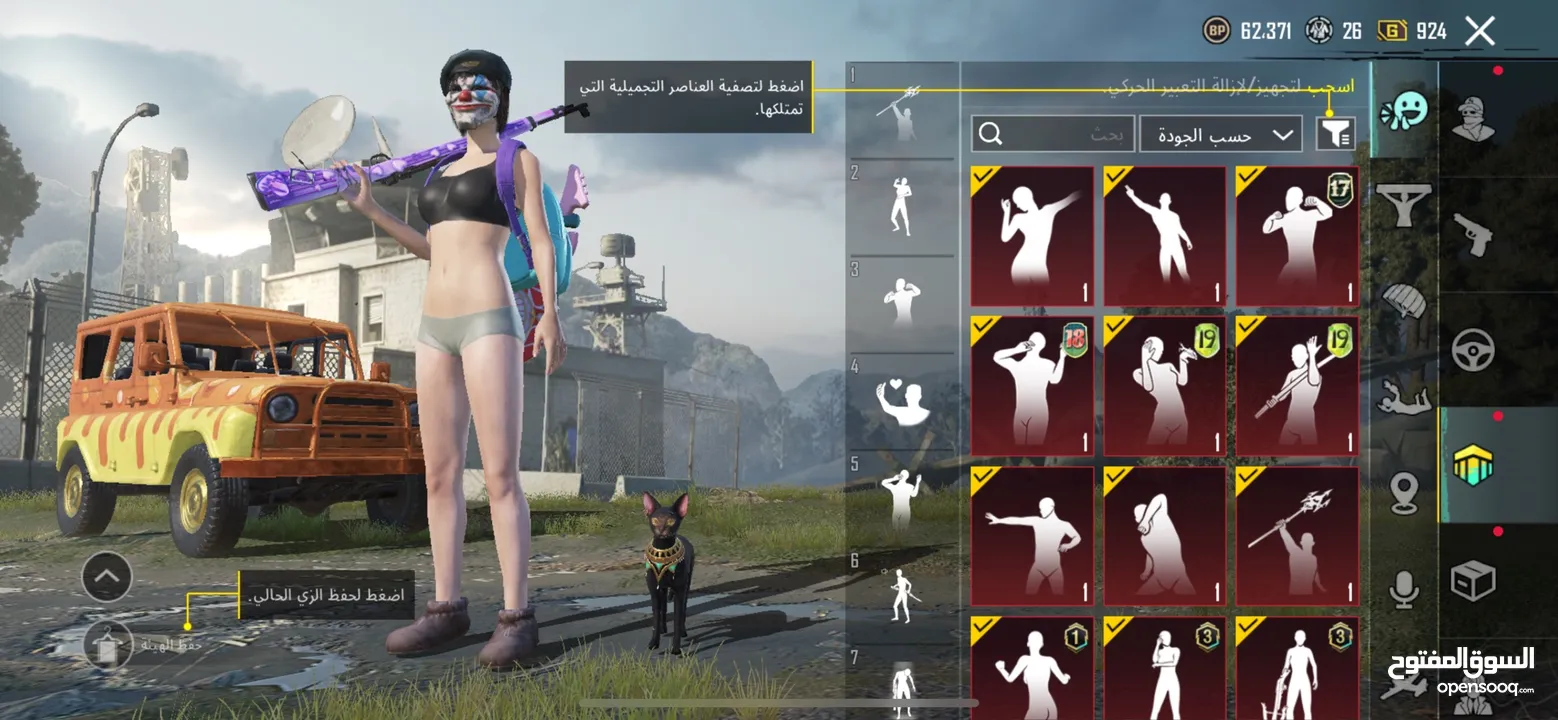 حساب ببجي للبيع لفل عالي 74