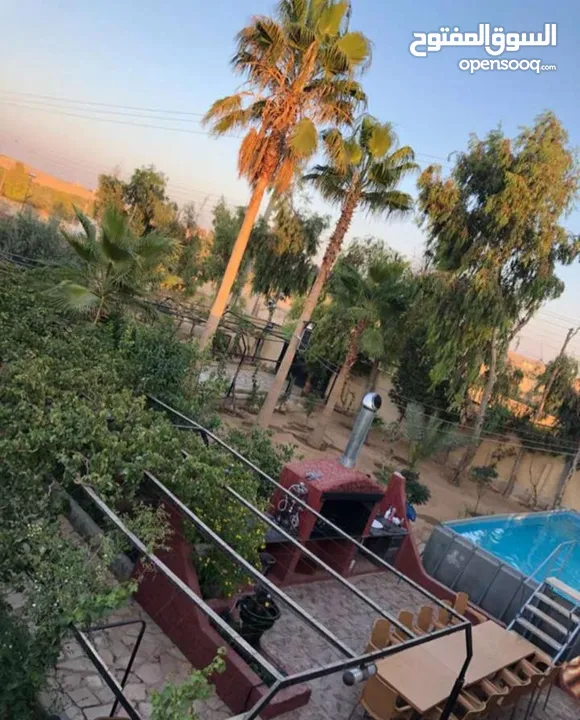 مزرعة مميزة و مشجرة للبيع بسعر مغري