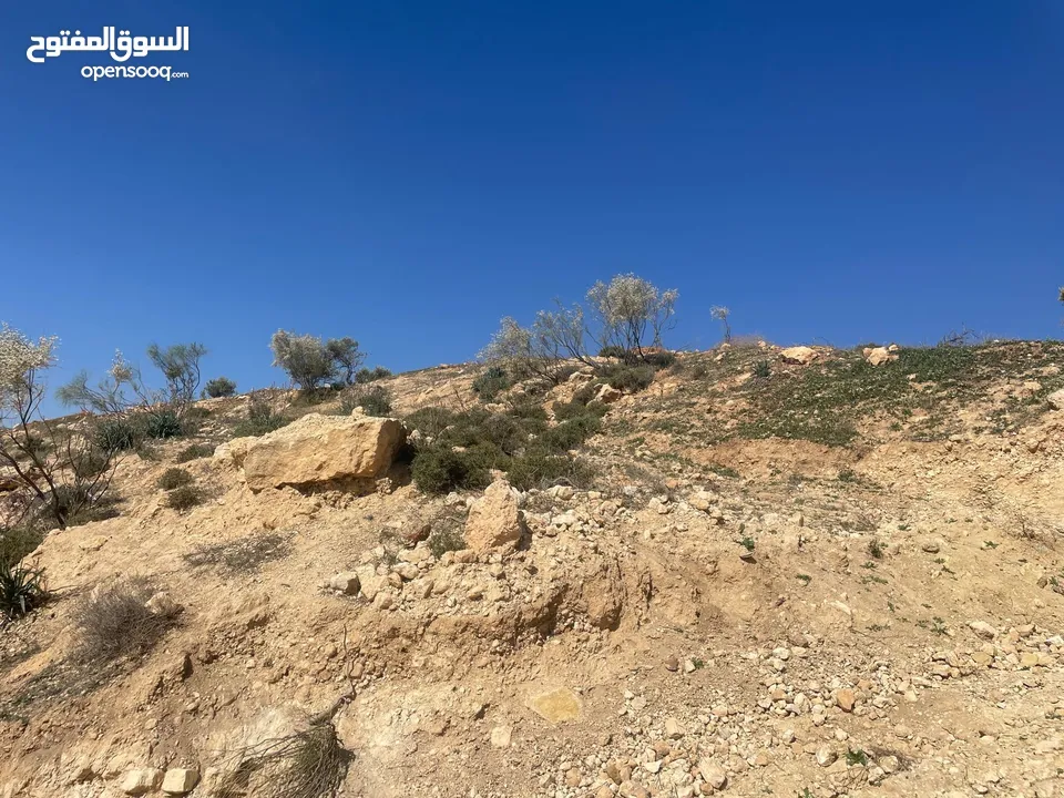ارض للبيع / الصبيحي 18 دونم تقع على شارع رئيسي ‏بإطلالة مميزة وجميلة ويوجد بجانبها مطعم