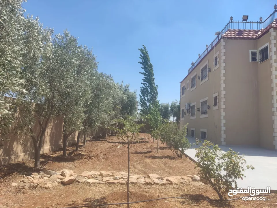 مادبا حواره مزرعه للبيع