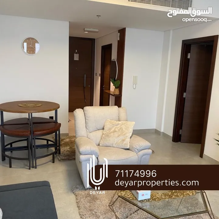 Luxury fully furnished 1BHK with WIFI