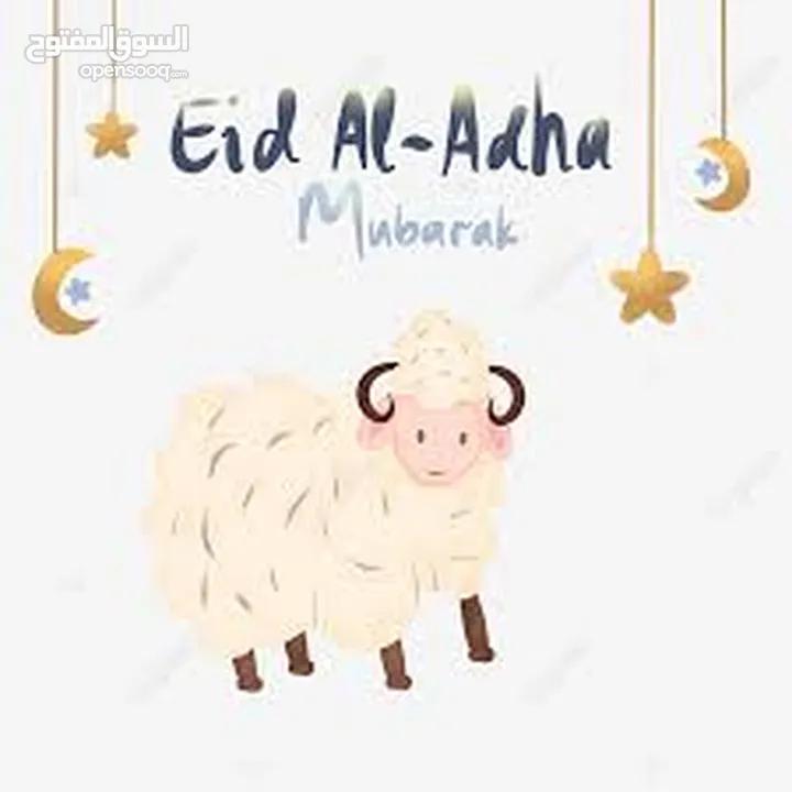 لحام جزار اضاحي متنقل ... ذبح ... سلخ ... تقطيع